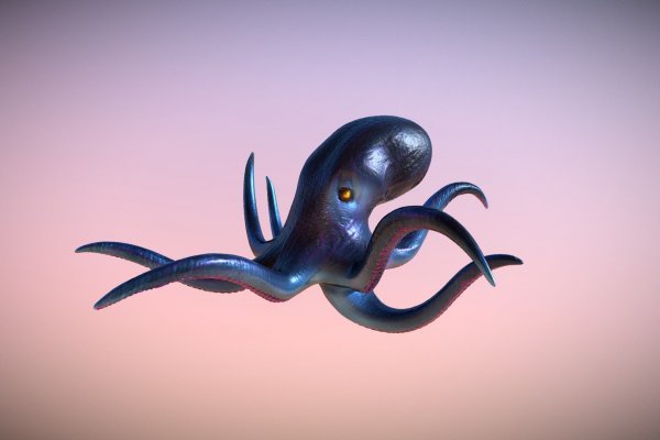 Tor browser kraken