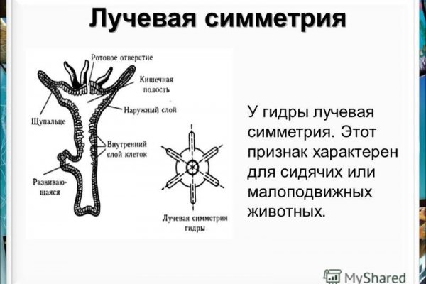 Блэкспрут пишет вы забанены