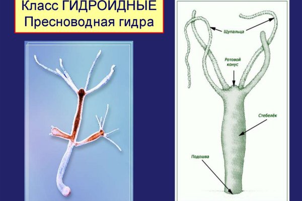 Омг отзывы