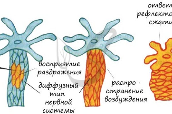 Кракен онлайн сайт