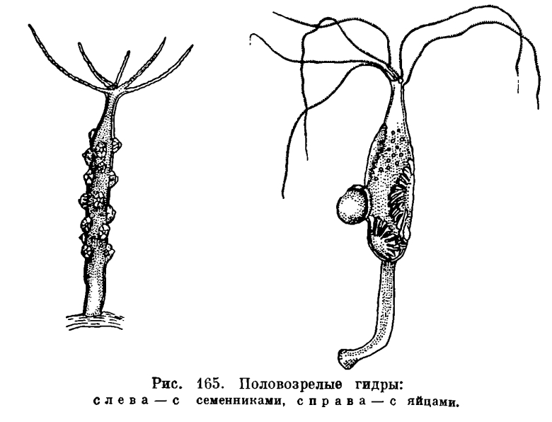 Адрес омг онион в тор